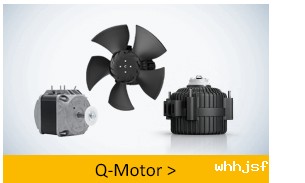 ebm-Q motor